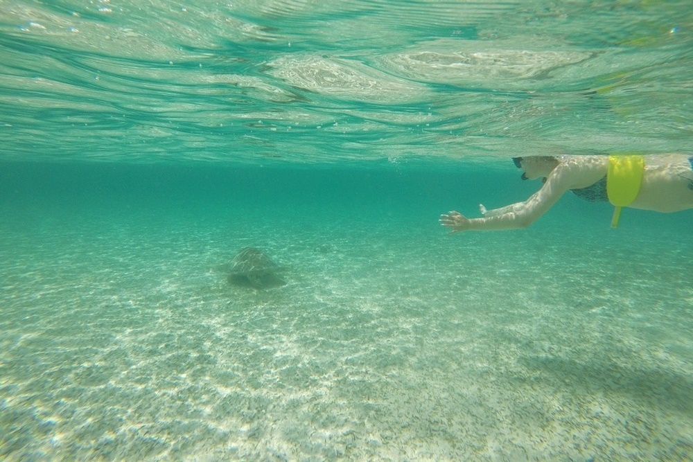 snorkelen op de Bahama's