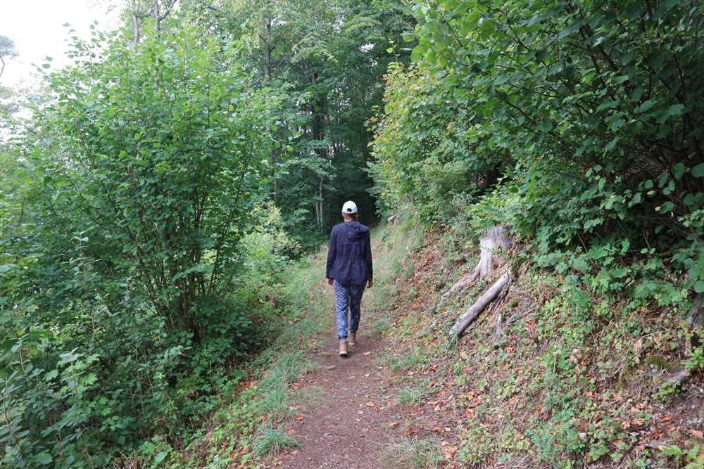 het Felsenpad - Monschau
